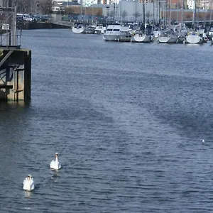 Coastal - Waterfront Apartment Swansea
